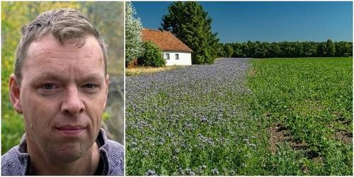 Så kan lantbrukare värna biologisk mångfald