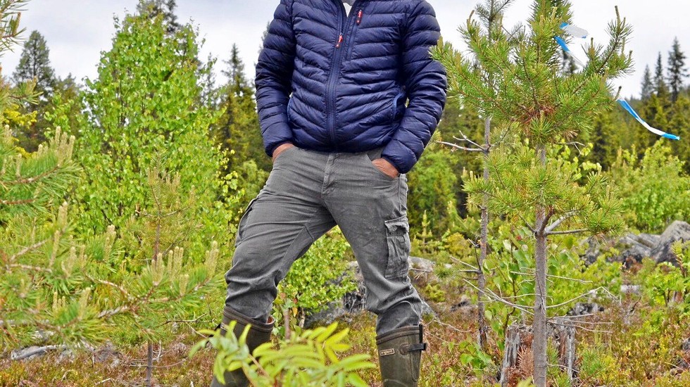 Anders Pettersson, Västerbottens Allmänningsförbund.