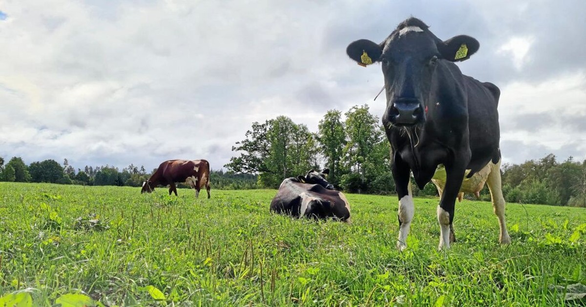 Förlustföretag överlever inte jordbruk är inget undantag LLB